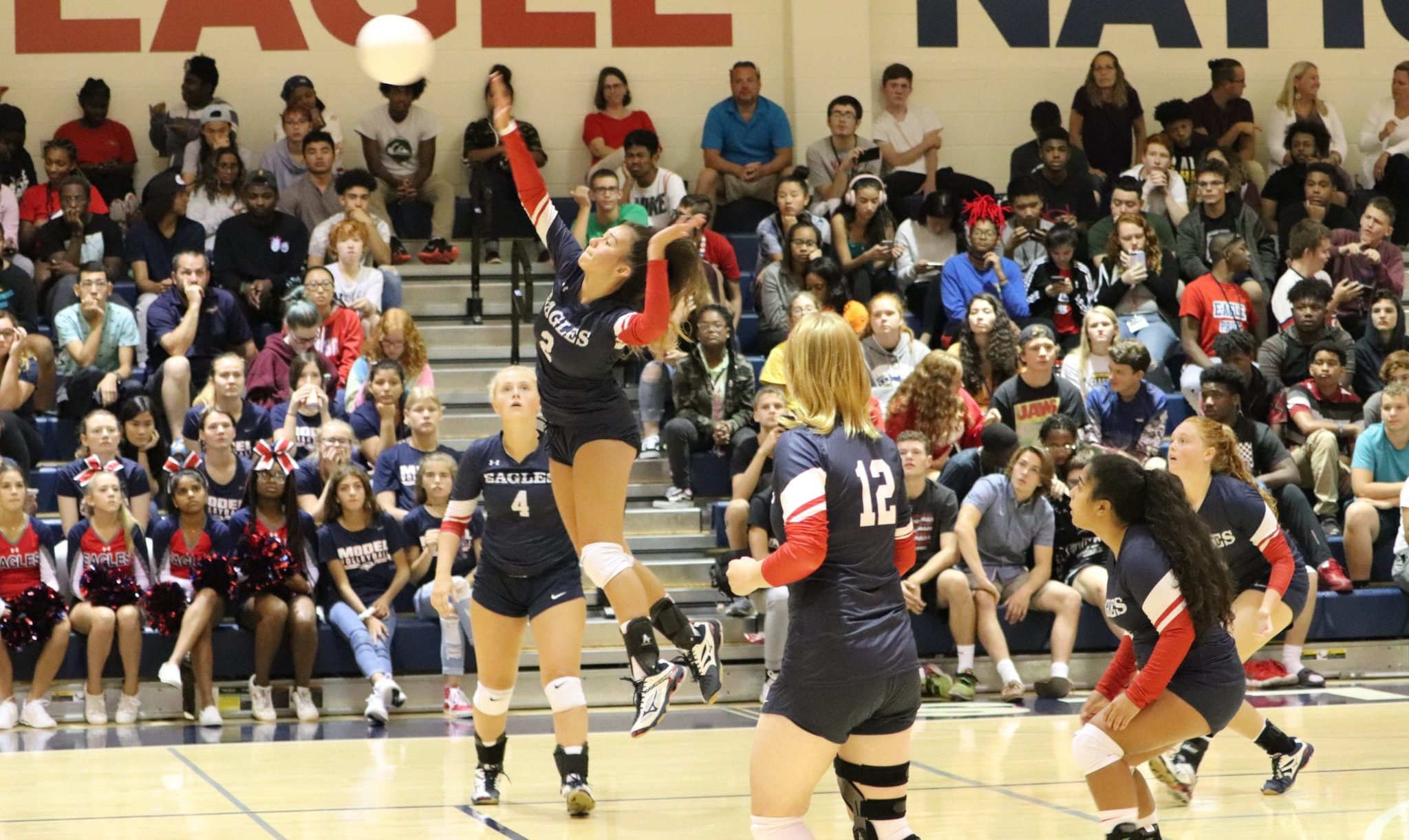 Volleyball Team